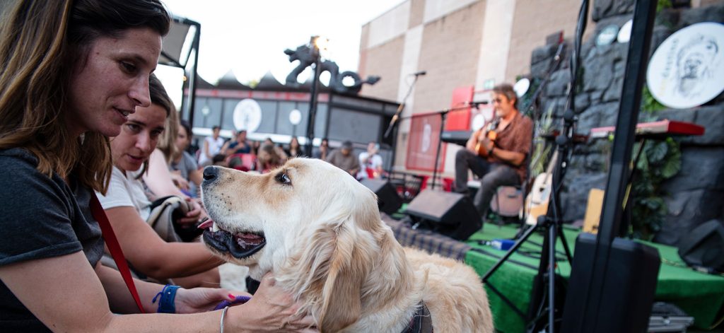 se permiten perros en el festival ithaca